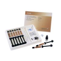 P-FILL, светоотверждаемый пломбировочный материал для боковой группы зубов