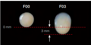 Beautifil Flow Plus «F00» SHOFU Dental, Япония